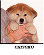 Chiyoko