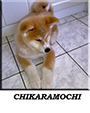 chikaramochi